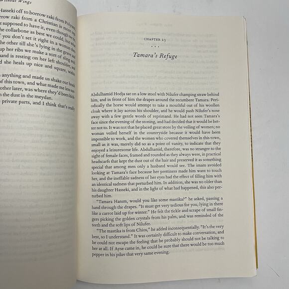 Birds Without Wings by Louis de Bernières First Edition Hardcover Book Novel - Picture 7 of 13